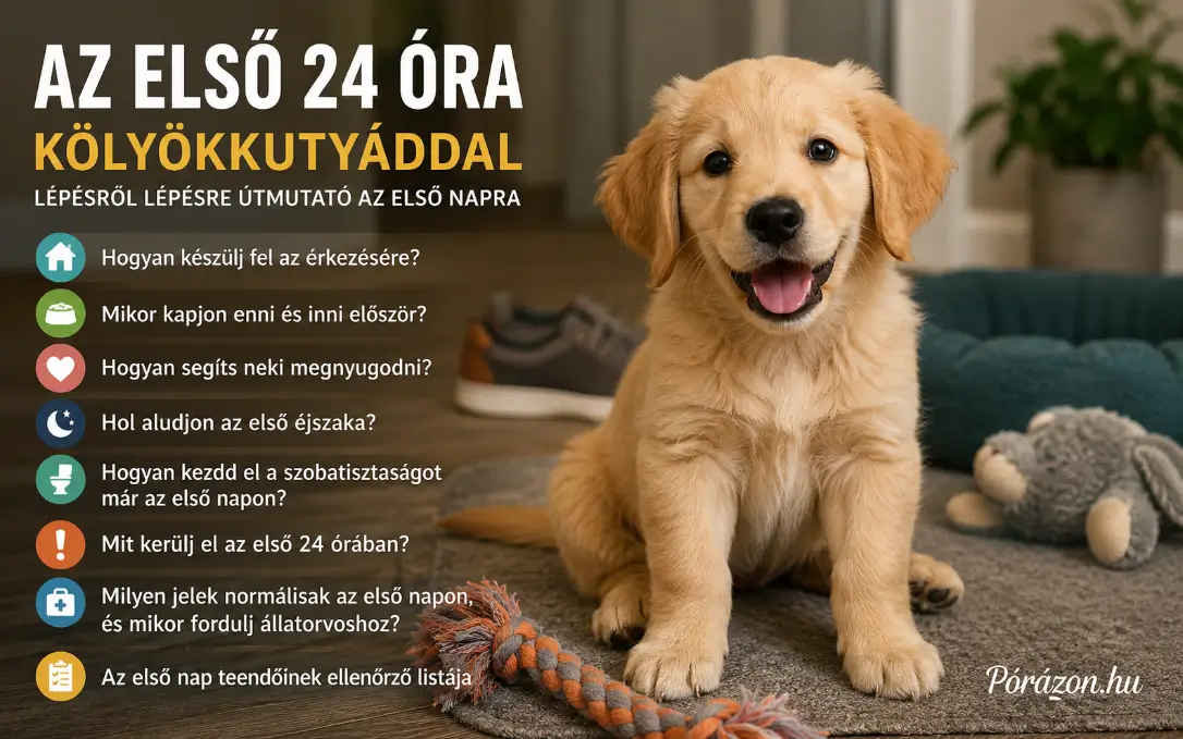 Az első nap a kölyökkutyával