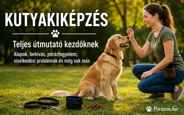 Kutyakiképzés – teljes útmutató az engedelmes és jól képzett kutyához