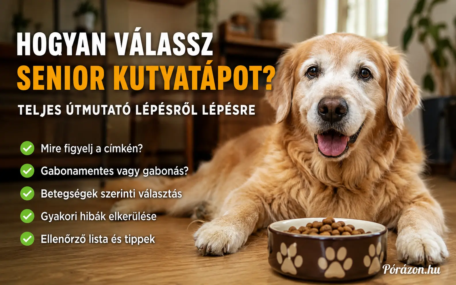 Milyen tápot válassz idős kutyának?